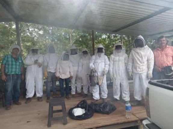 En Copán: SAG-DICTA capacita a productores apícolas